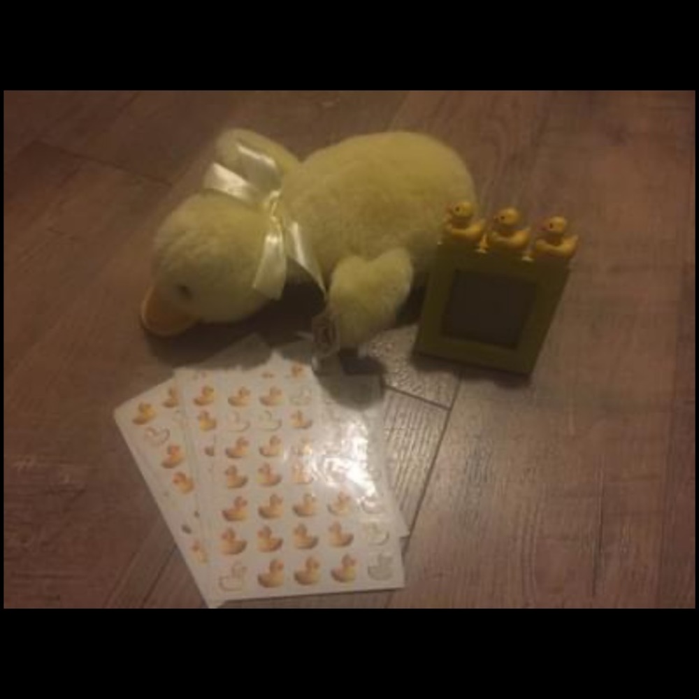 Duck from The Office tv show -see details and pics